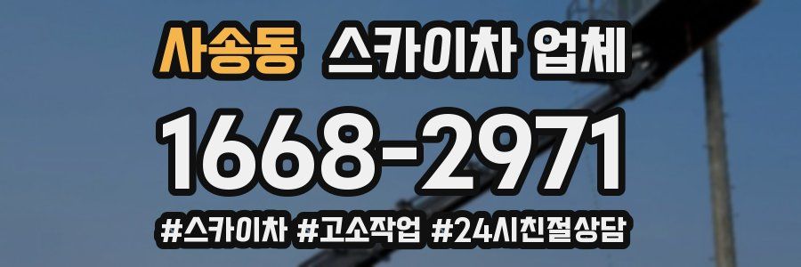 사송동 스카이차 업체