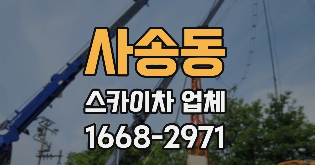 사송동 스카이차 업체