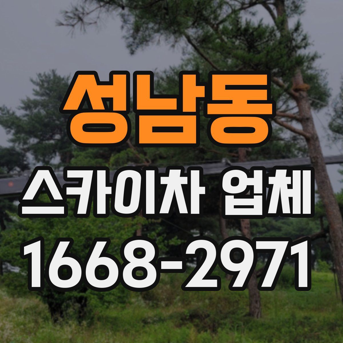 성남동 스카이차 업체