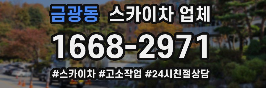 금광동 스카이차 업체