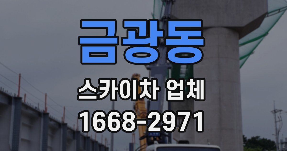 금광동 스카이차 업체