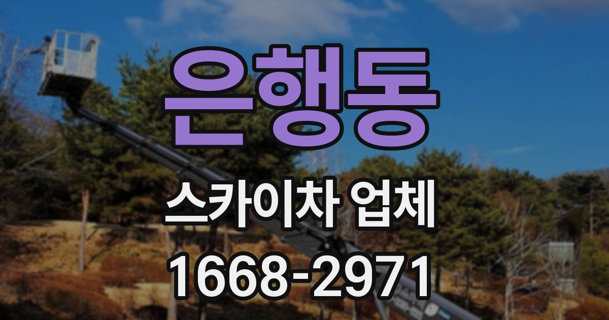 은행동 스카이차 업체