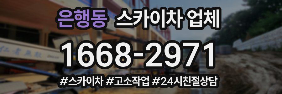 은행동 스카이차 업체