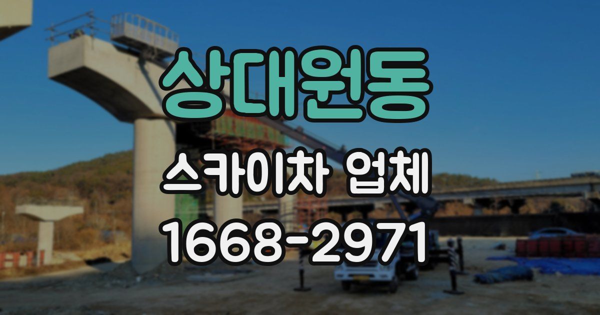 상대원동 스카이차 업체