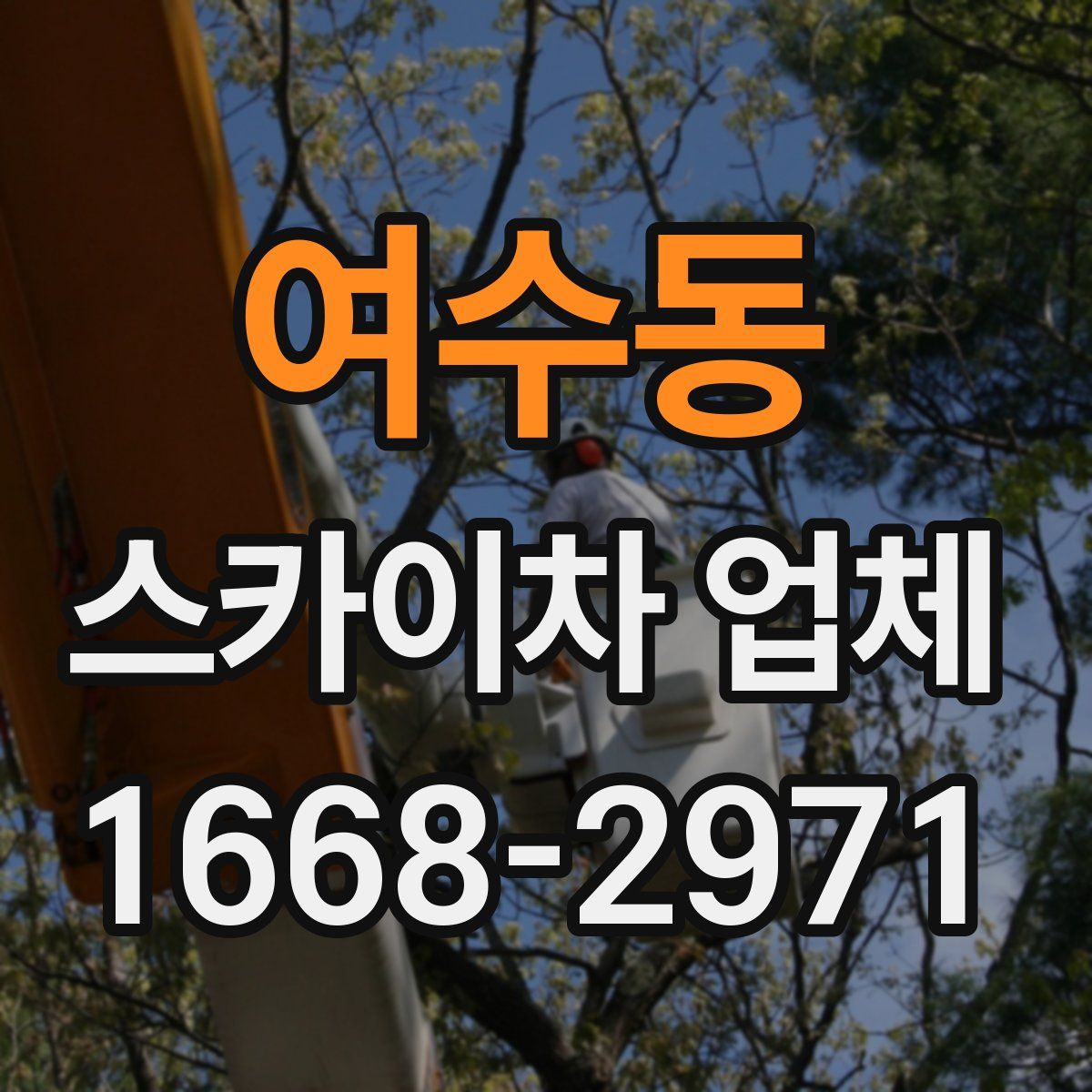 여수동 스카이차 업체