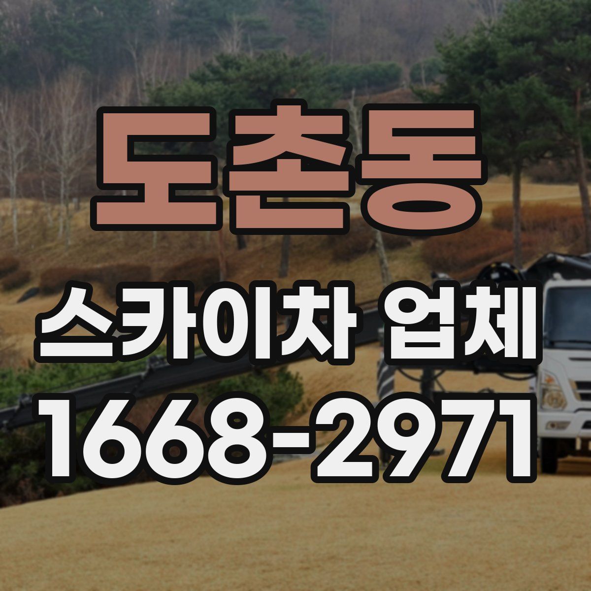 도촌동 스카이차 업체