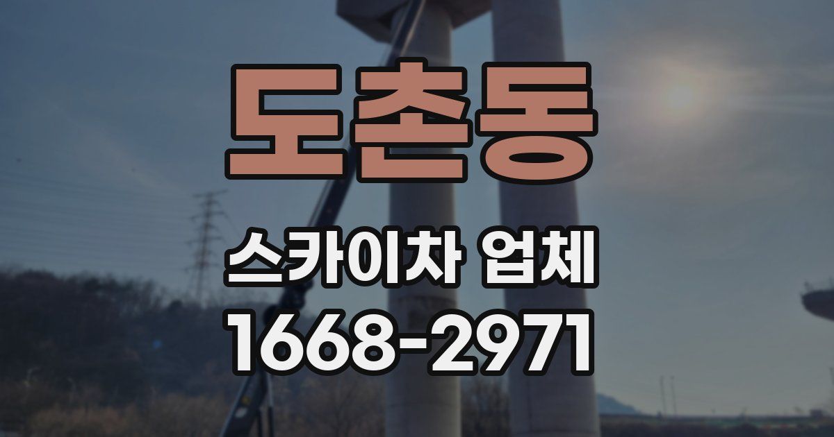 도촌동 스카이차 업체