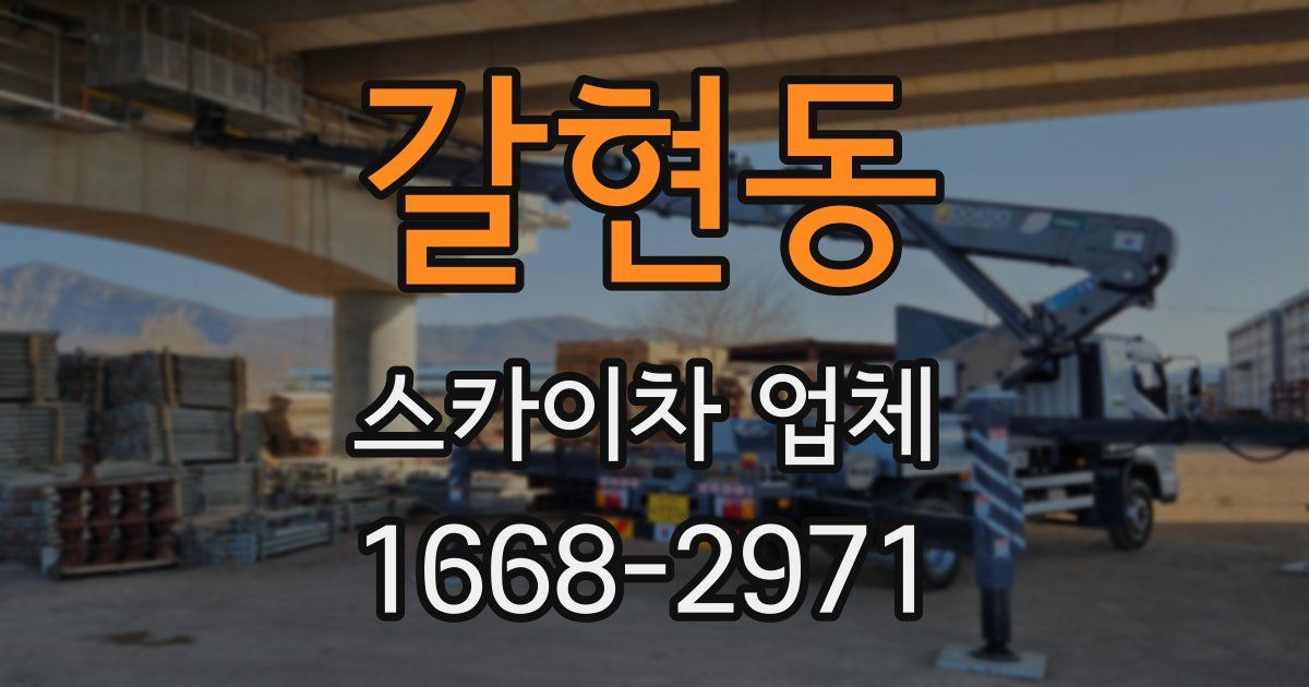 갈현동 스카이차 업체
