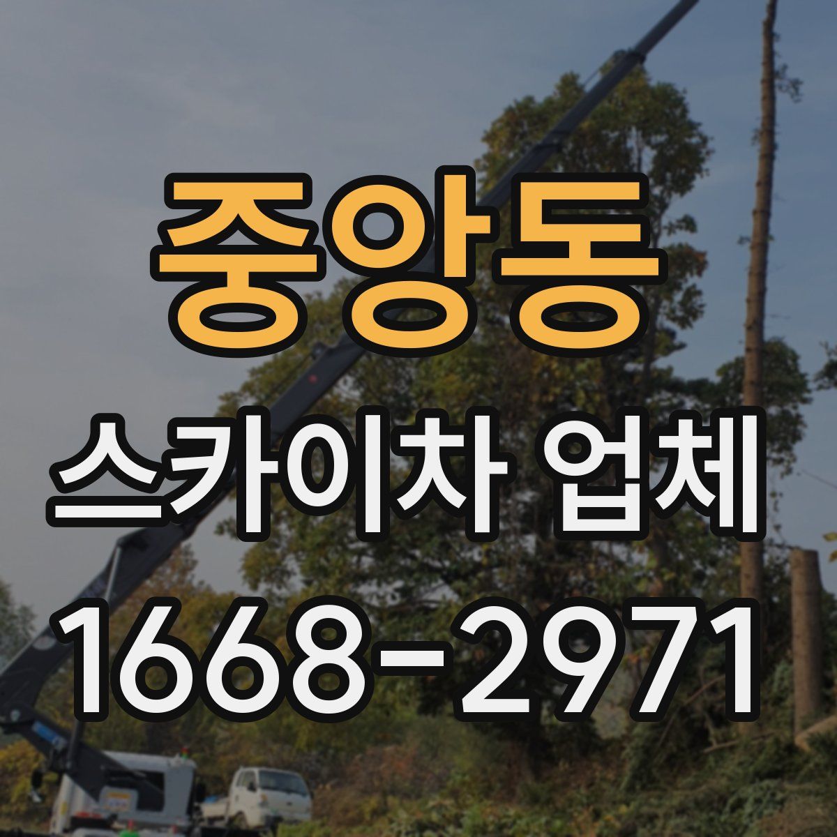 중앙동 스카이차 업체