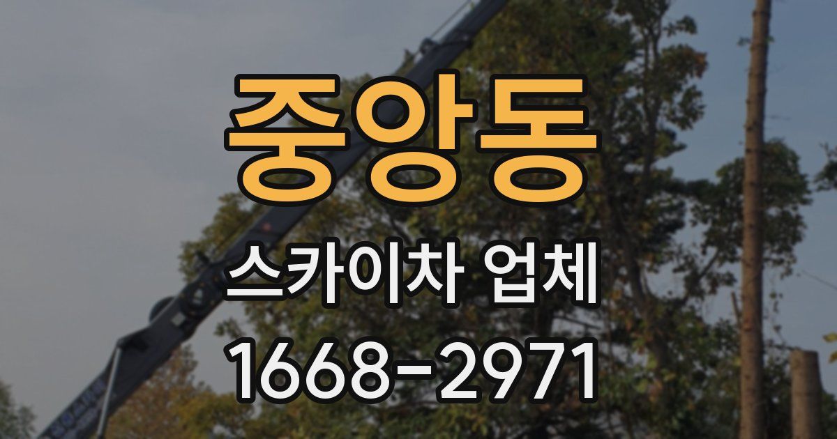 중앙동 스카이차 업체
