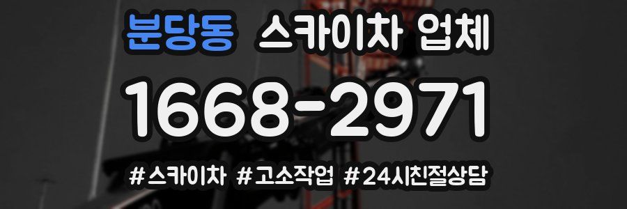 분당동 스카이차 업체