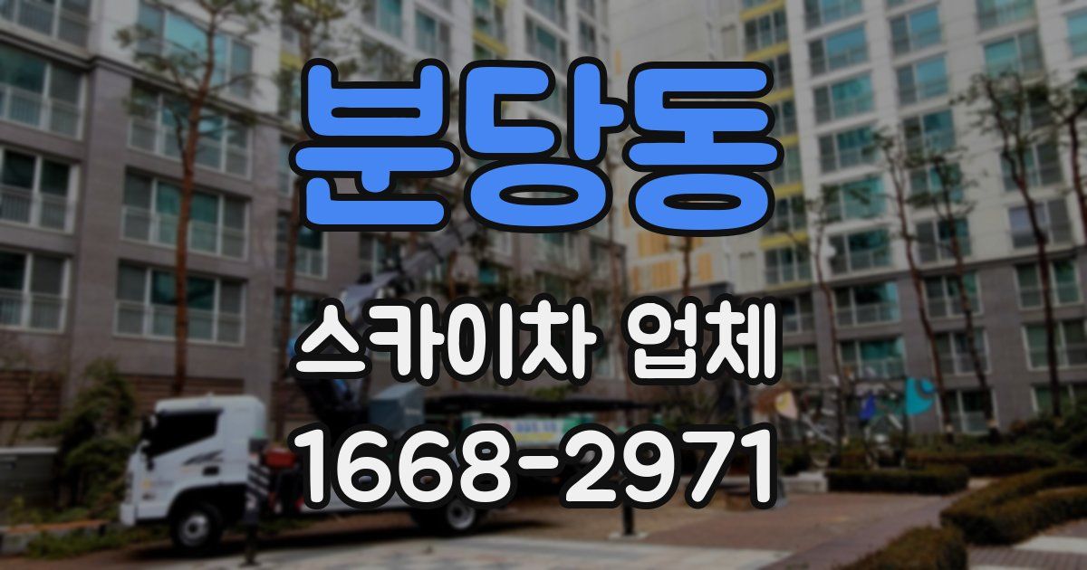 분당동 스카이차 업체