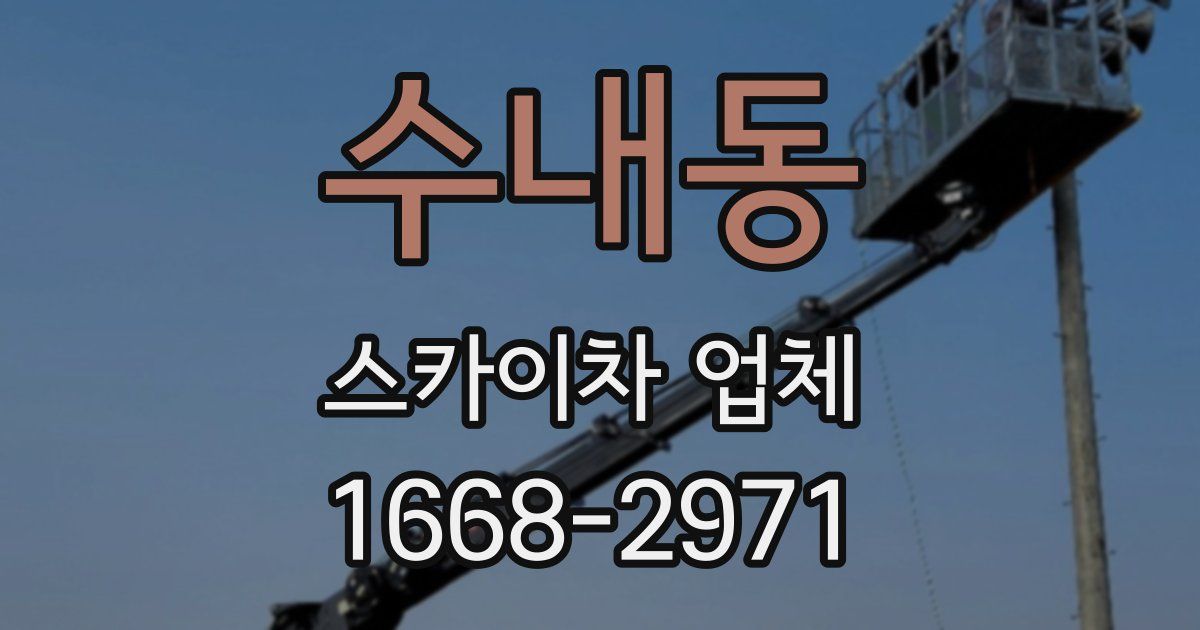 수내동 스카이차 업체