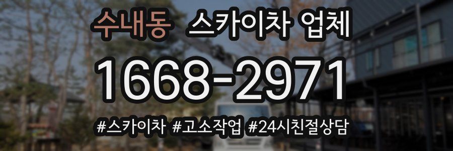 수내동 스카이차 업체