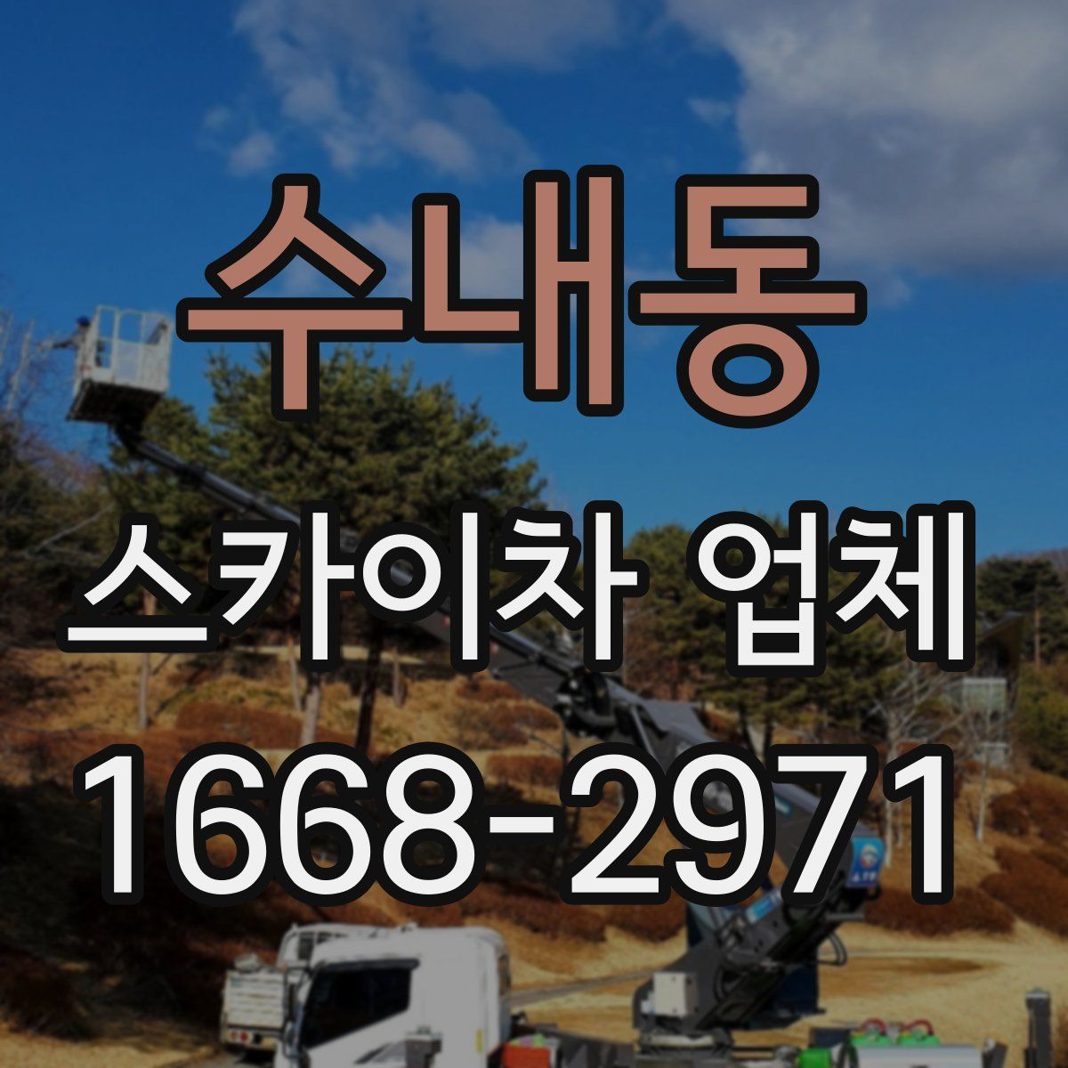 수내동 스카이차 업체