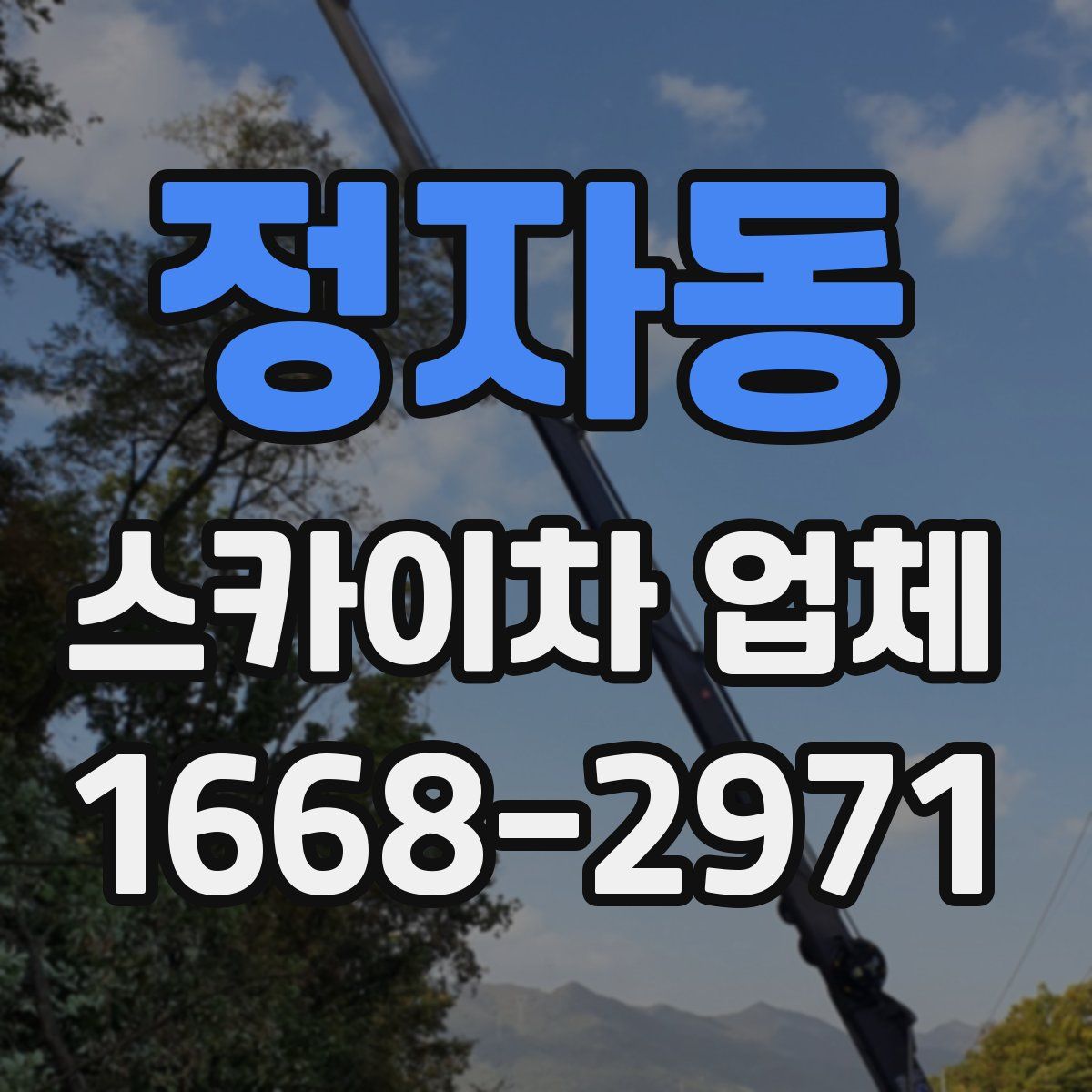 정자동 스카이차 업체