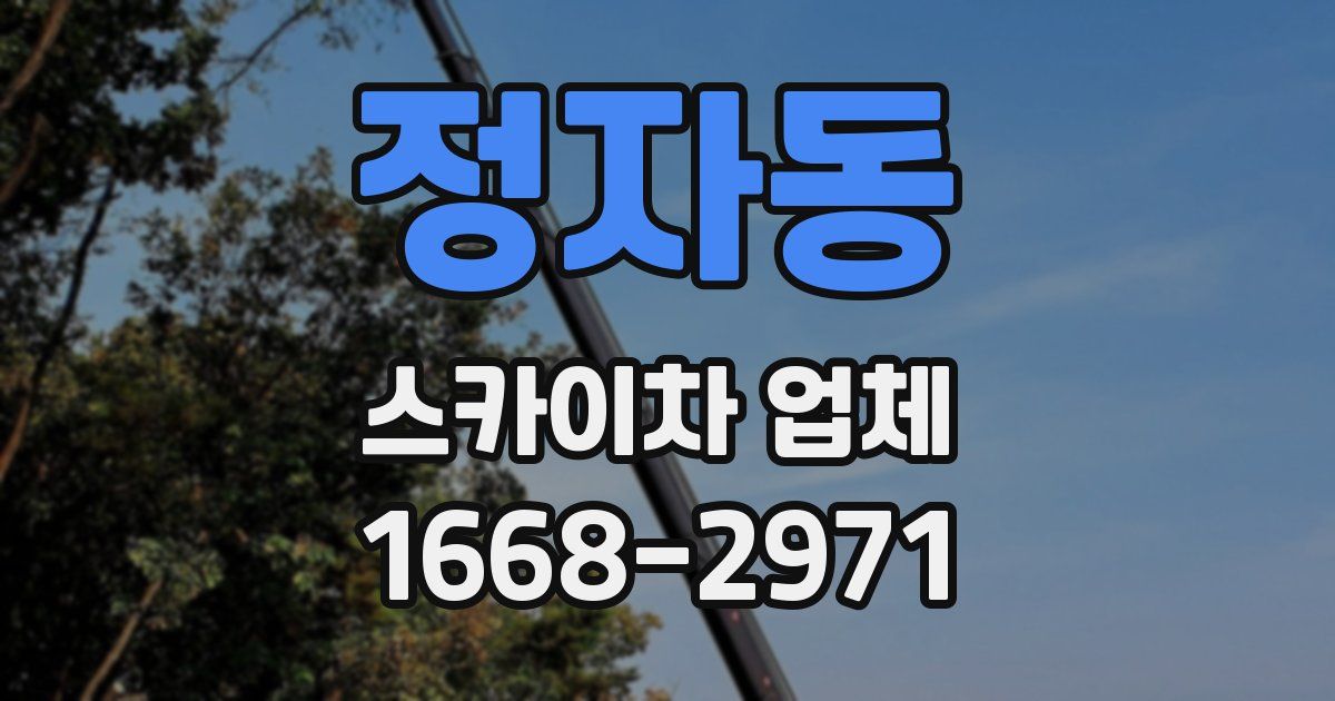 정자동 스카이차 업체
