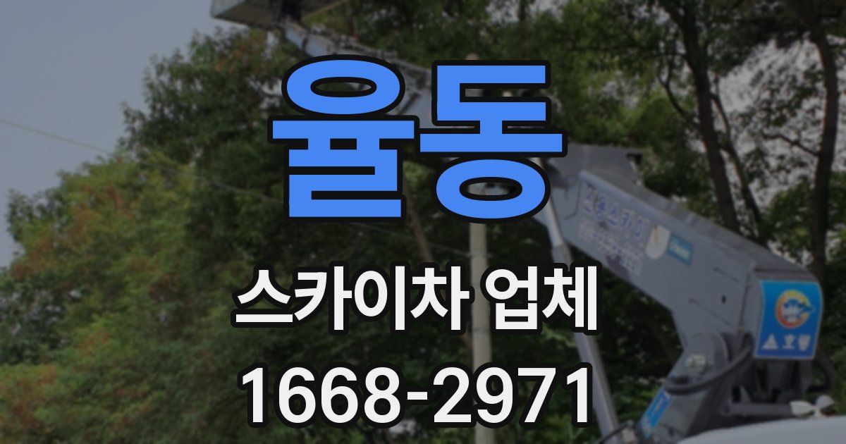 율동 스카이차 업체