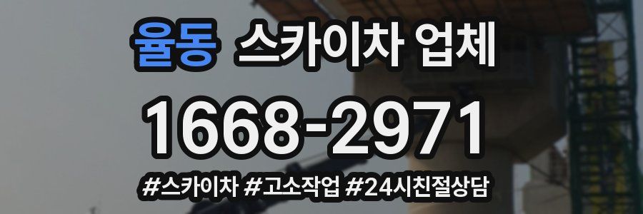 율동 스카이차 업체