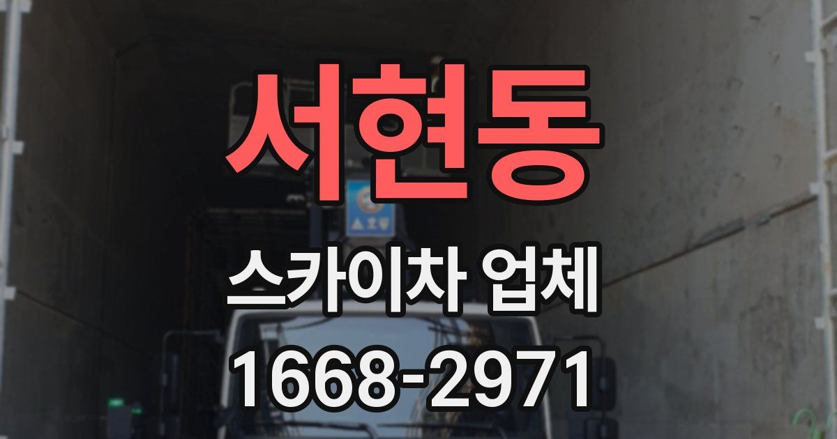 서현동 스카이차 업체