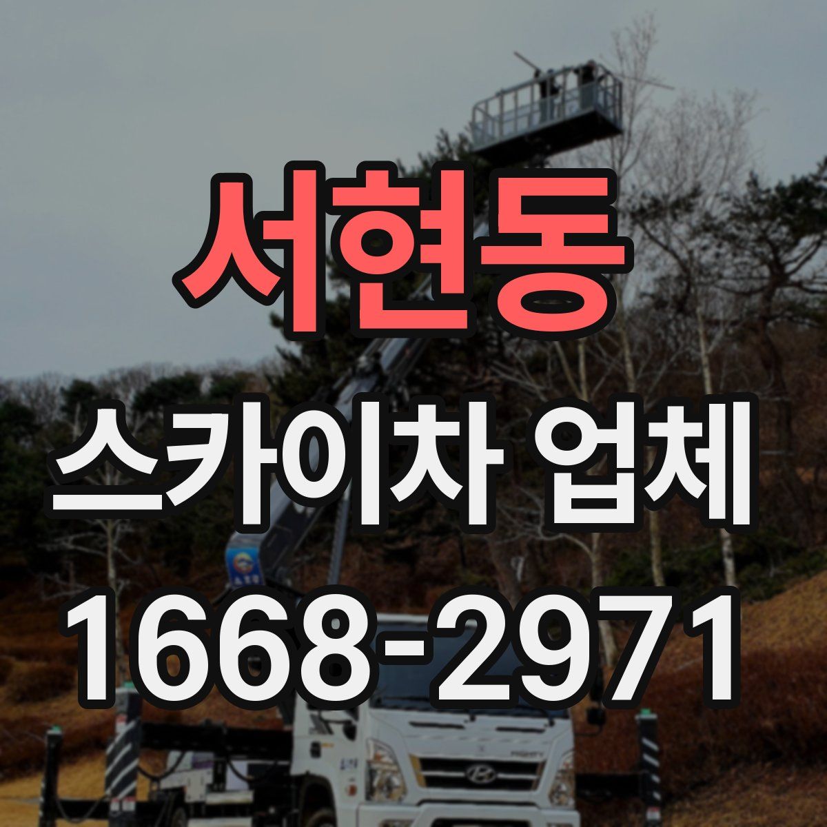 서현동 스카이차 업체