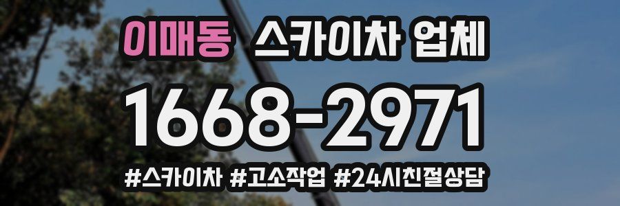 이매동 스카이차 업체