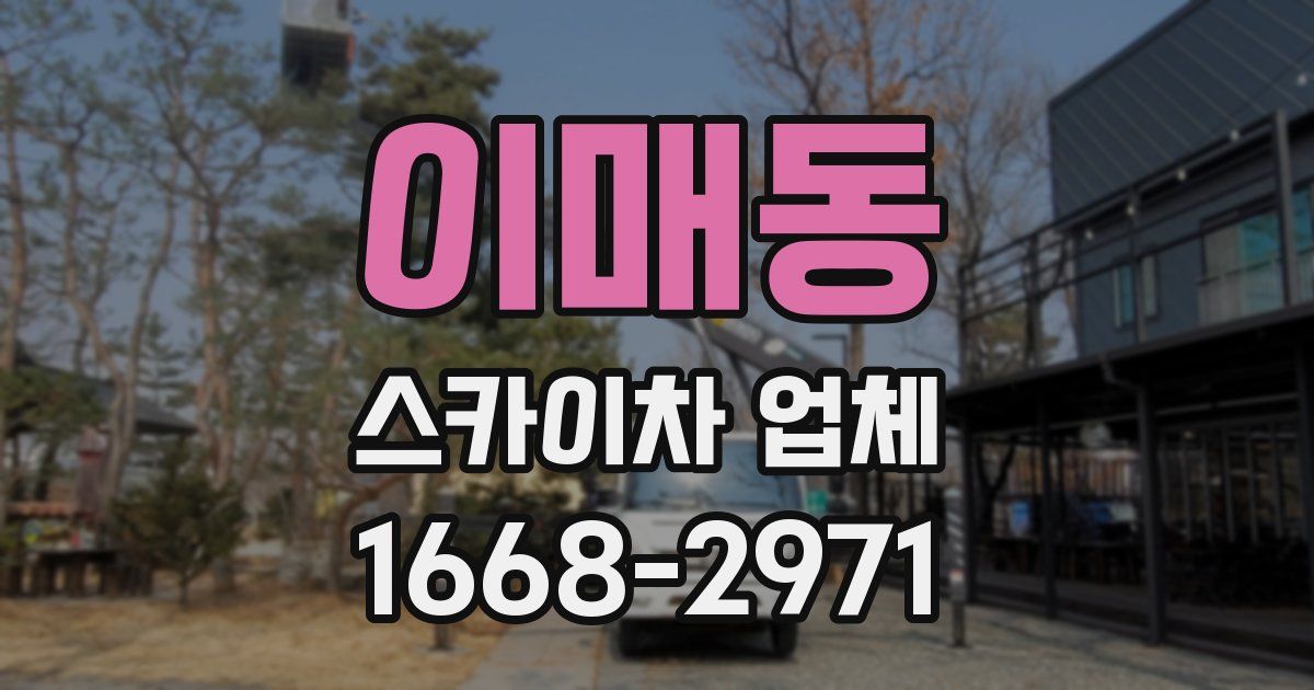 이매동 스카이차 업체