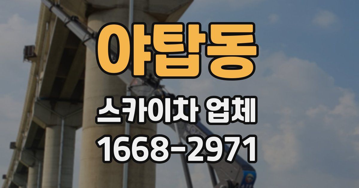 야탑동 스카이차 업체