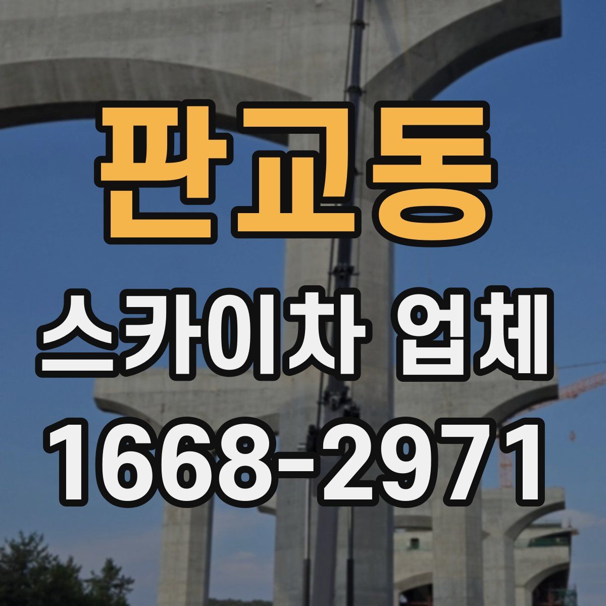 판교동 스카이차 업체