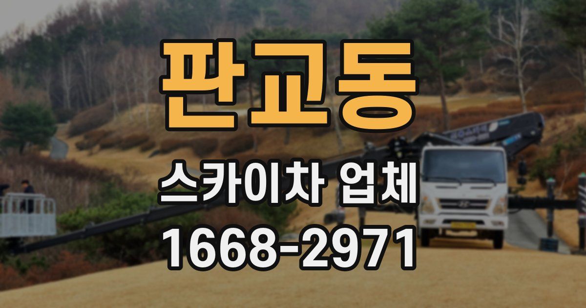 판교동 스카이차 업체