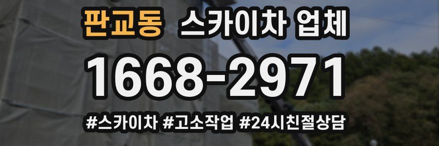 판교동 스카이차 업체