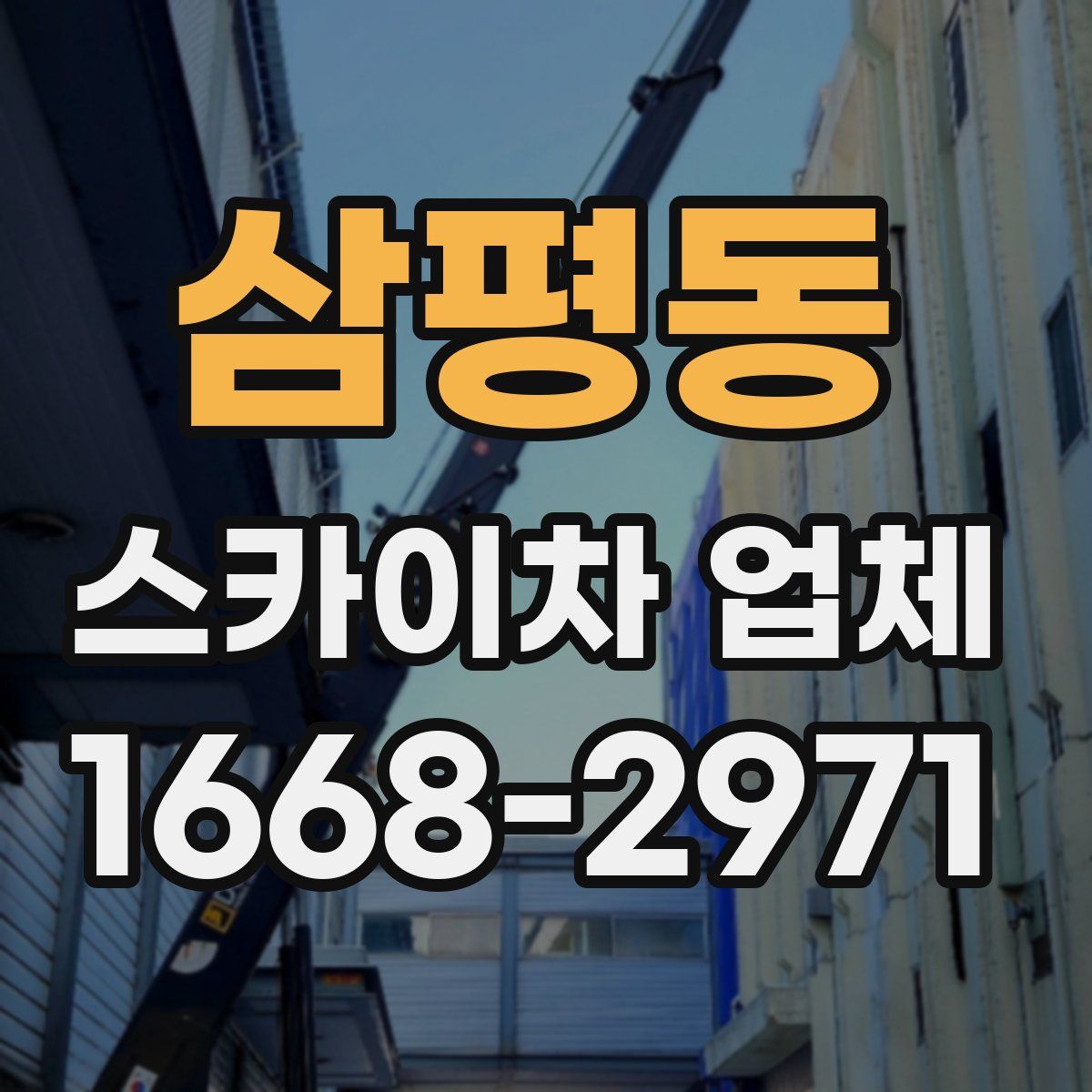 삼평동 스카이차 업체
