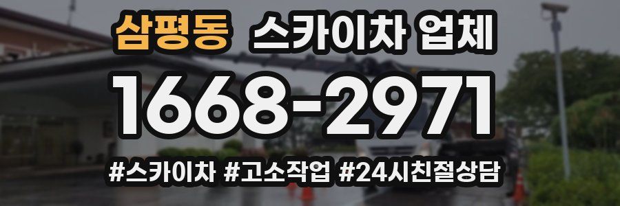 삼평동 스카이차 업체