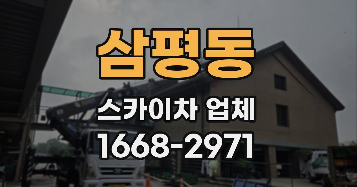 삼평동 스카이차 업체