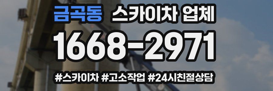 금곡동 스카이차 업체