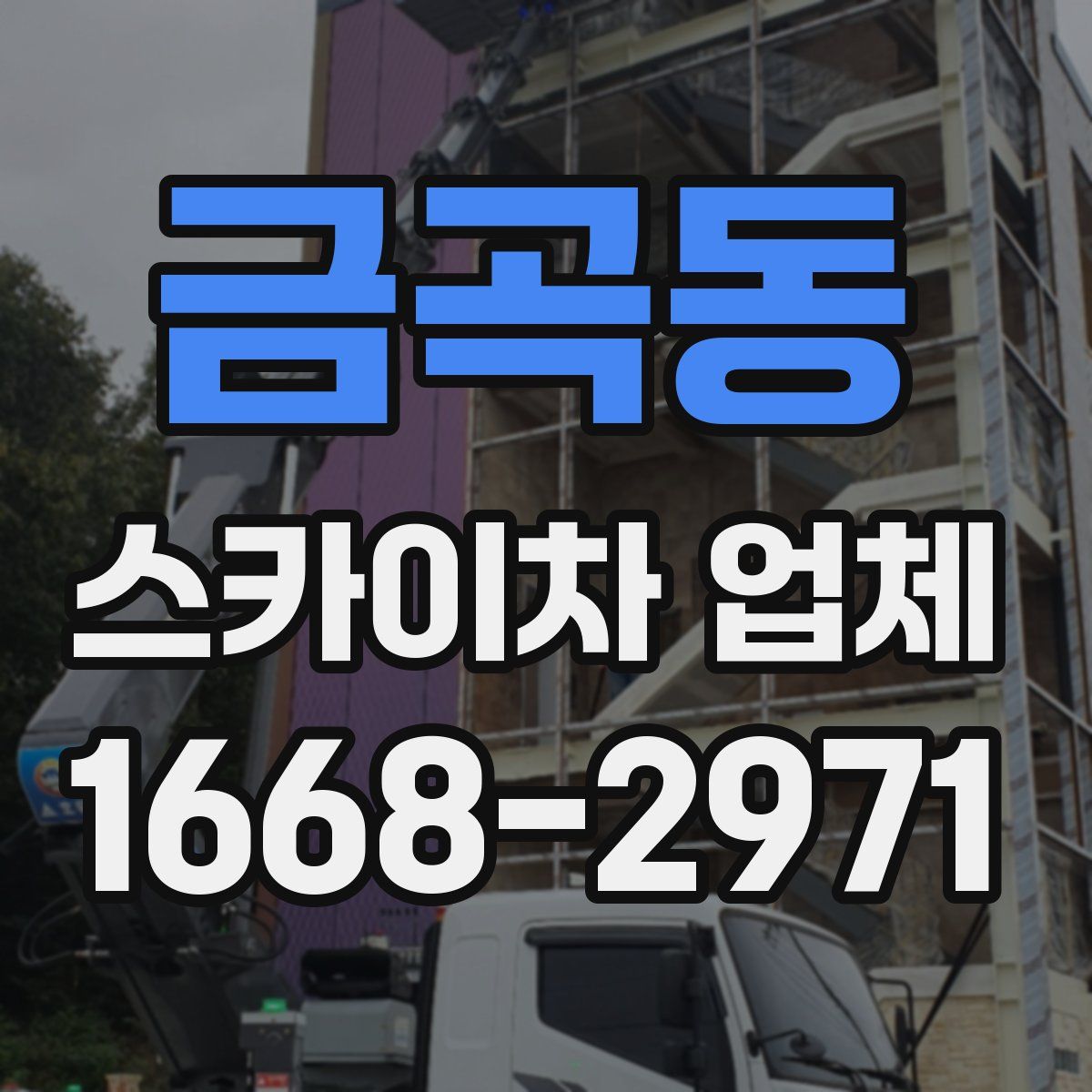 금곡동 스카이차 업체