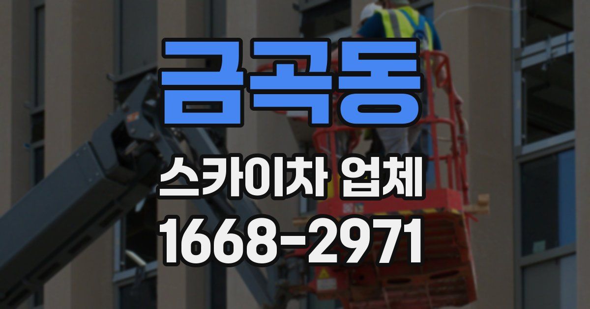 금곡동 스카이차 업체