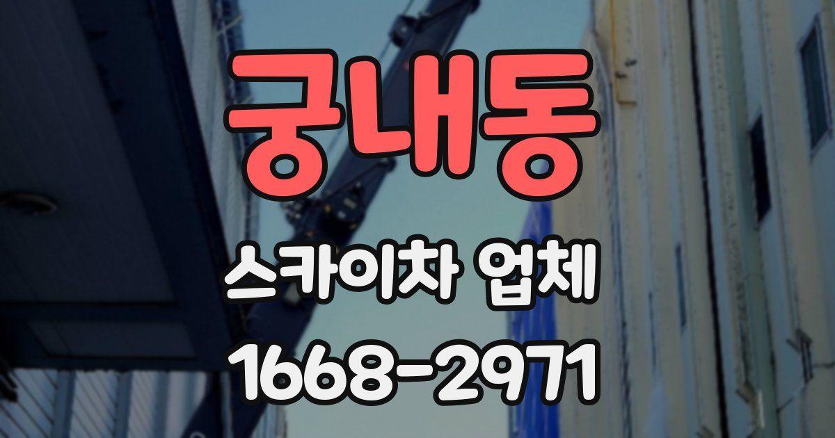 궁내동 스카이차 업체