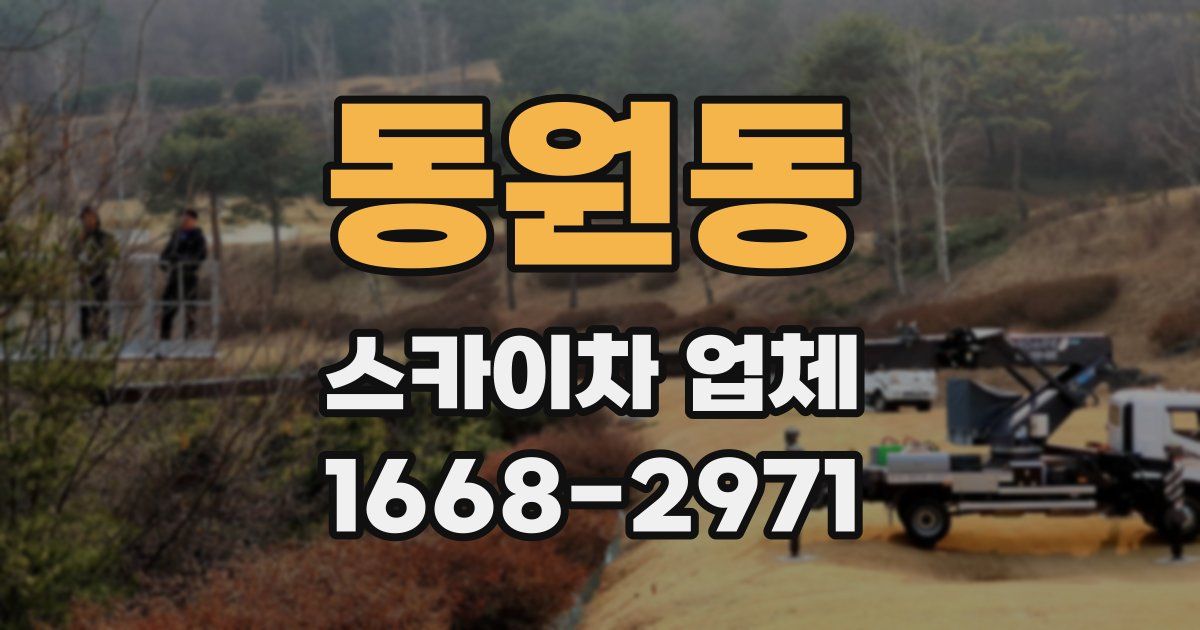 동원동 스카이차 업체