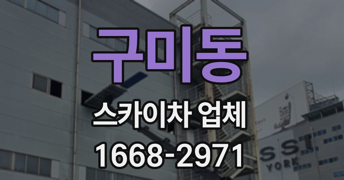 구미동 스카이차 업체