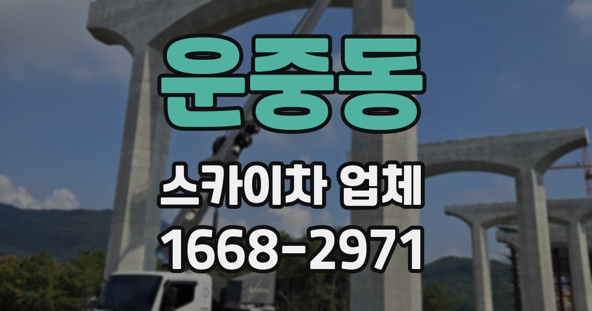 운중동 스카이차 업체