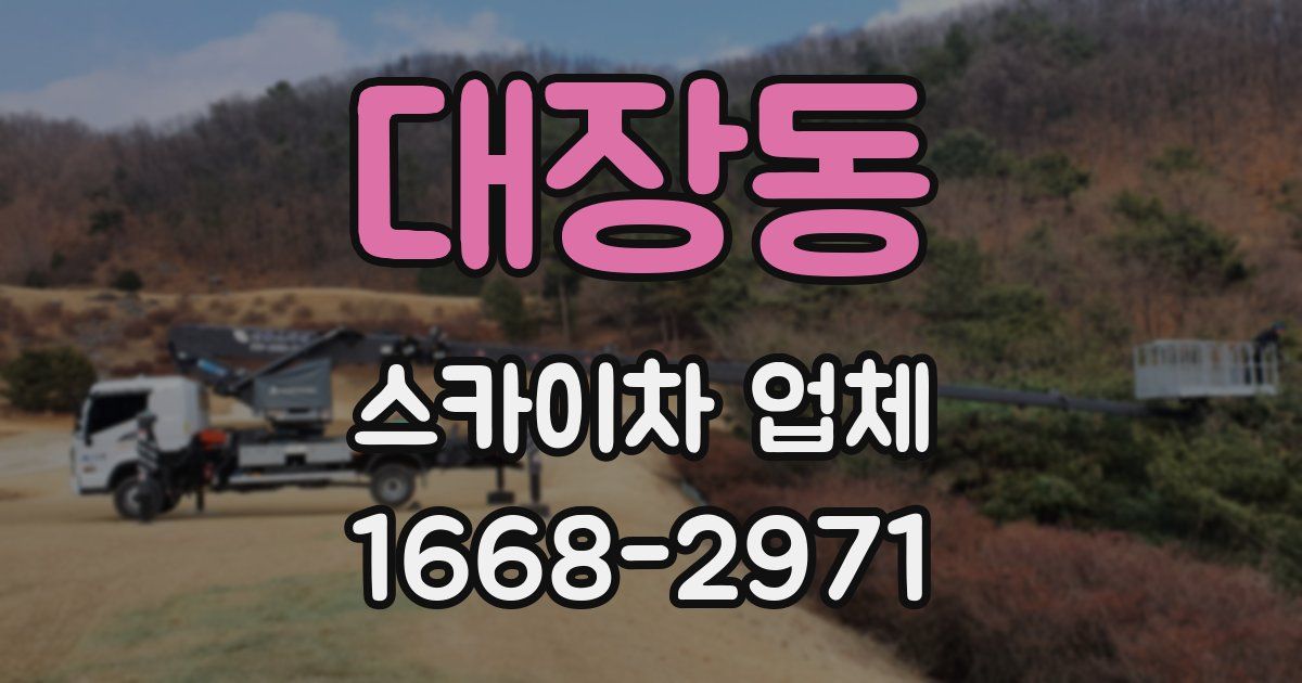 대장동 스카이차 업체