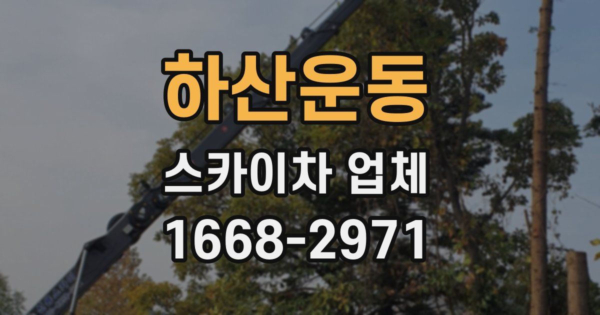 하산운동 스카이차 업체