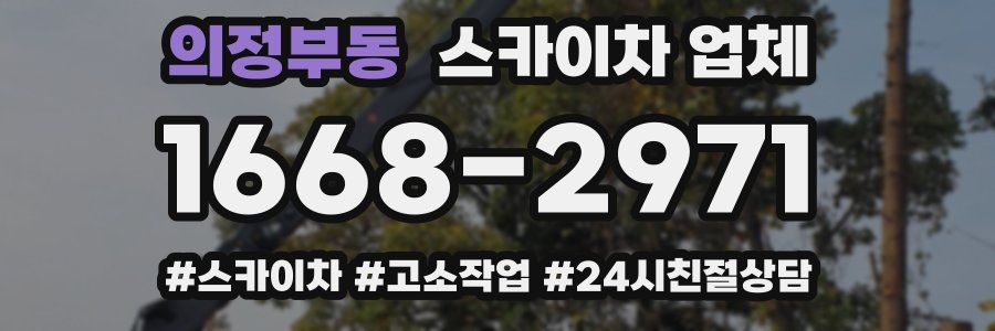 의정부동 스카이차 업체