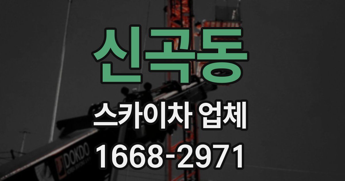 신곡동 스카이차 업체