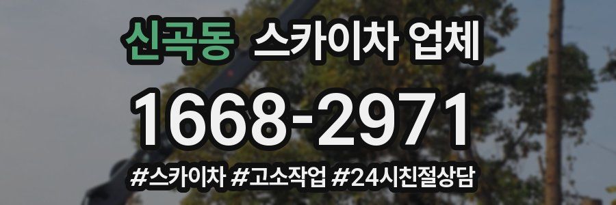 신곡동 스카이차 업체