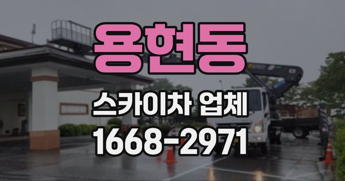 용현동 스카이차 업체
