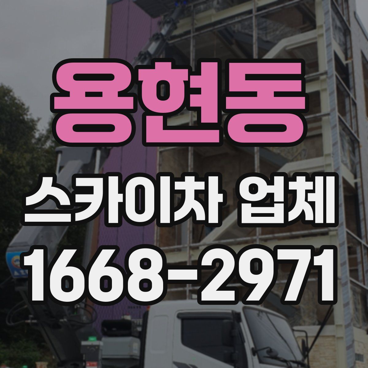 용현동 스카이차 업체