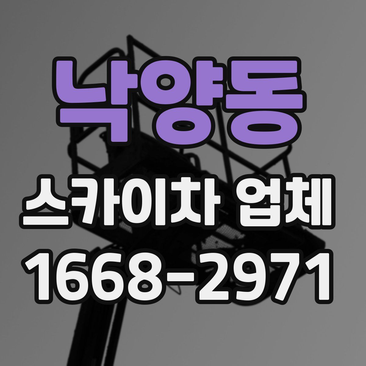 낙양동 스카이차 업체