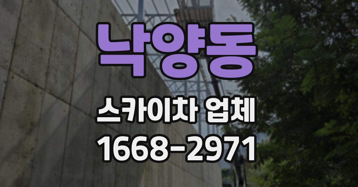 낙양동 스카이차 업체
